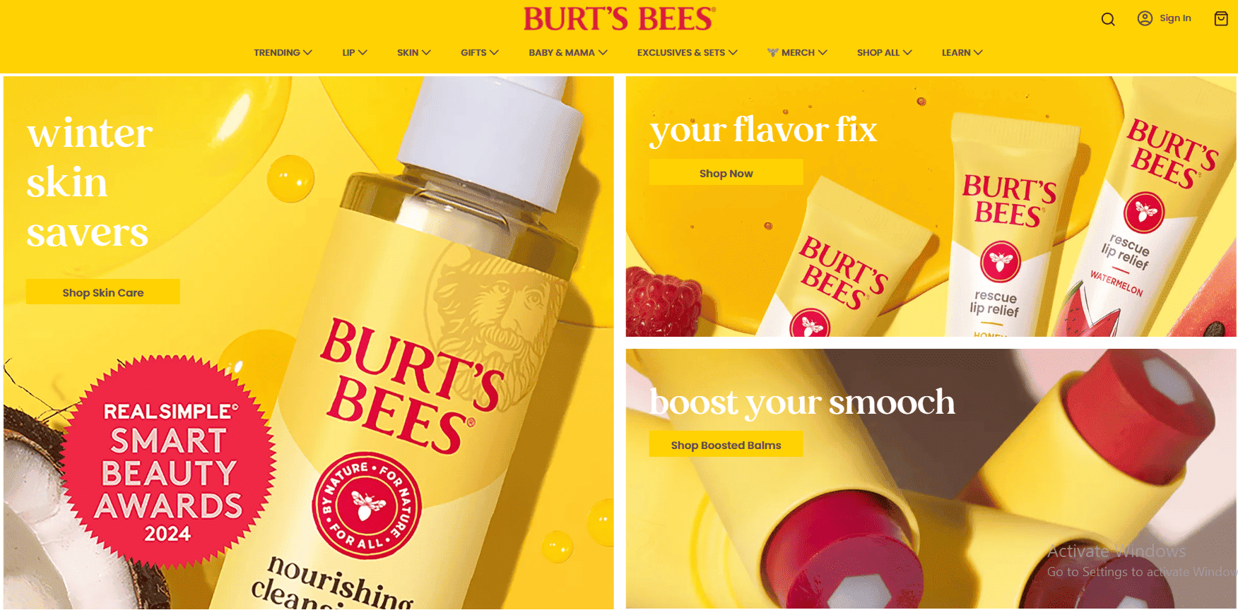 burt's bees skincare products
